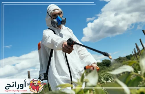 Spraying pesticides 3 e1703700162423
