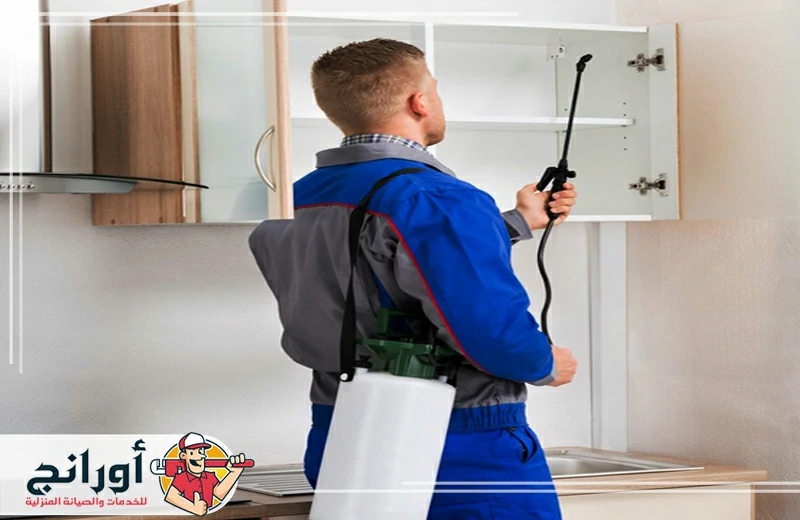 شركة مكافحة حشرات شمال الرياض