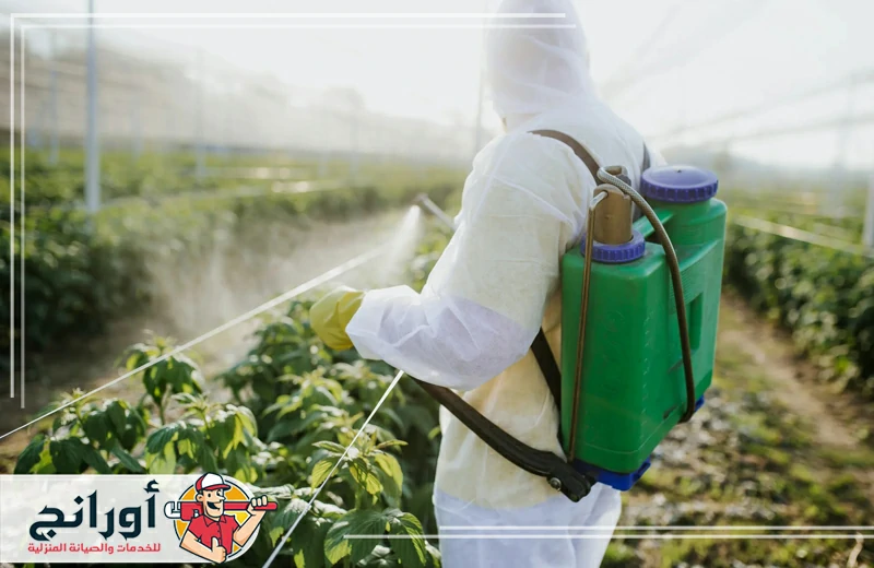 شركة رش مبيدات شرق الرياض
