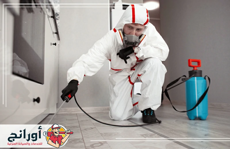 شركة مكافحة حشرات بالدمام