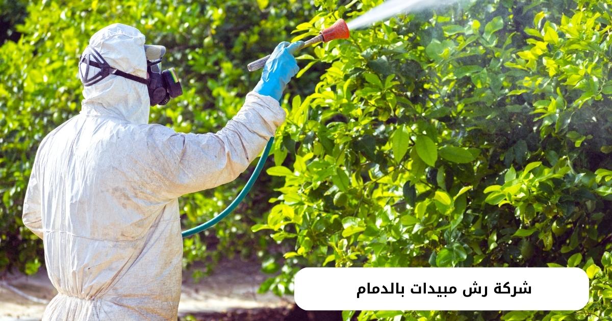 شركة رش مبيدات بالدمام