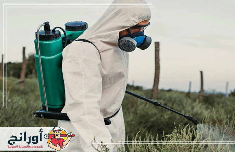 شركة رش مبيدات بالدمام